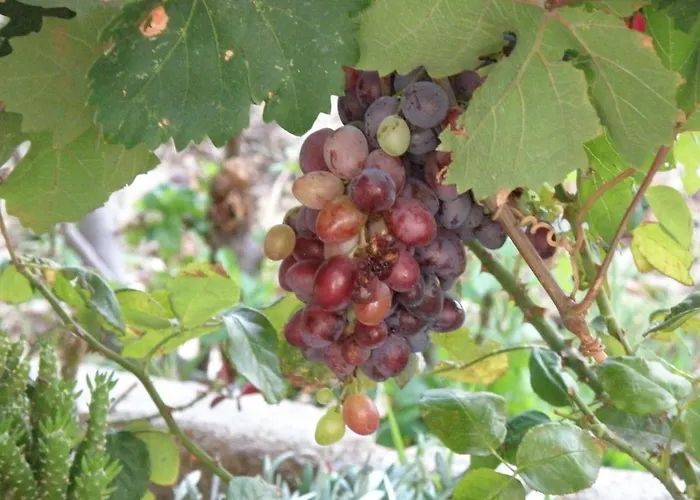 Sunset House Archangelos (Laconia)